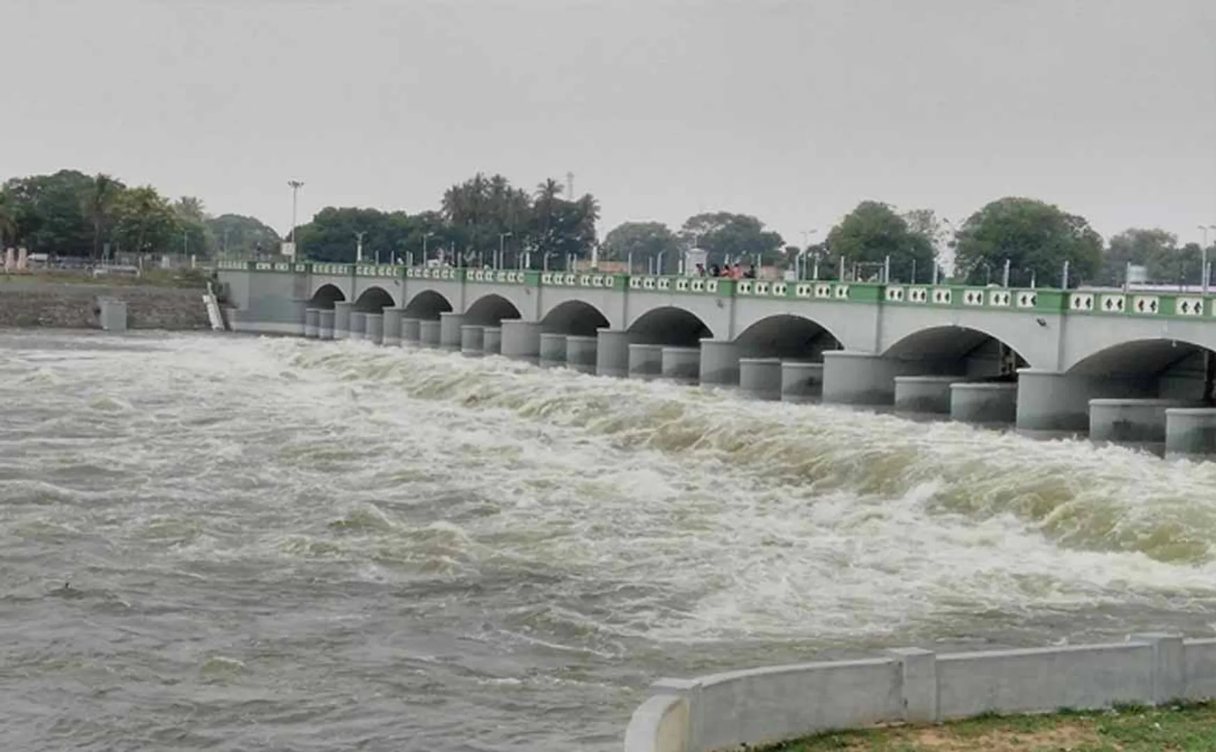 cauvery