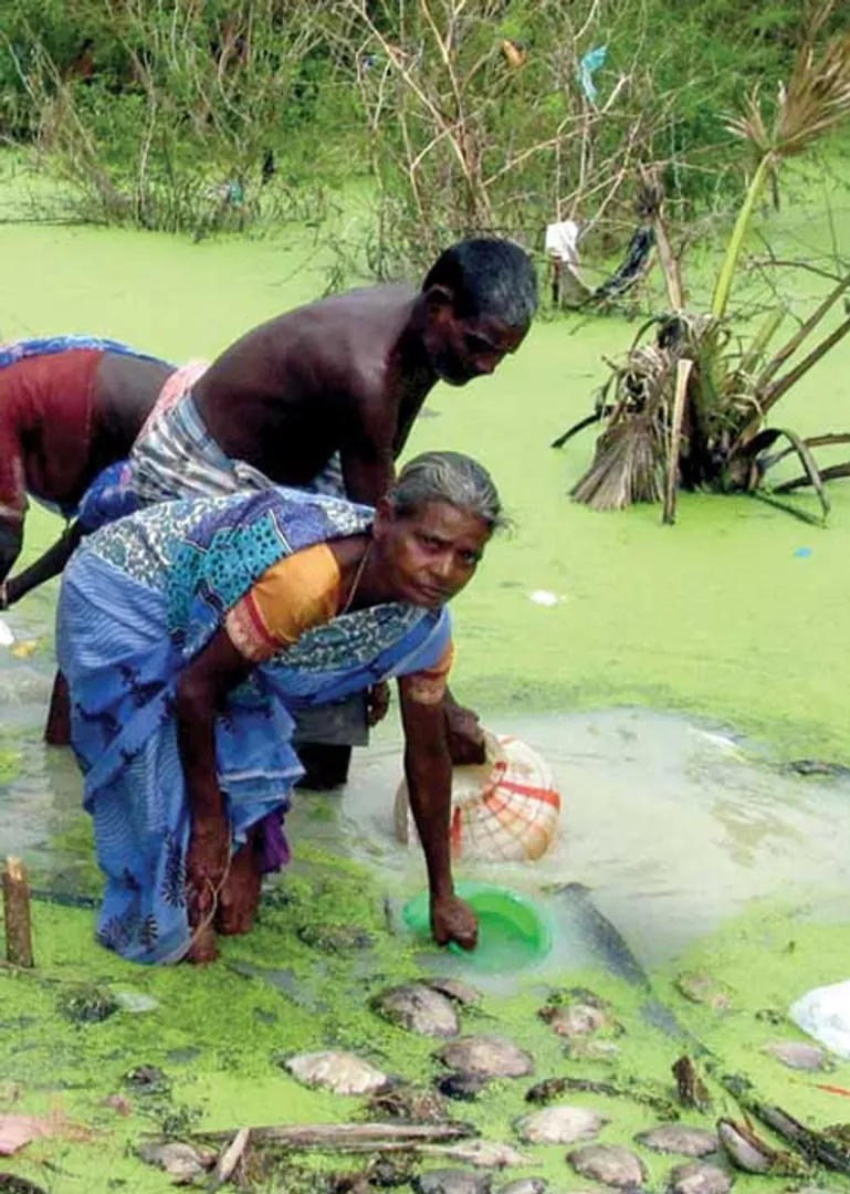 deltapeople