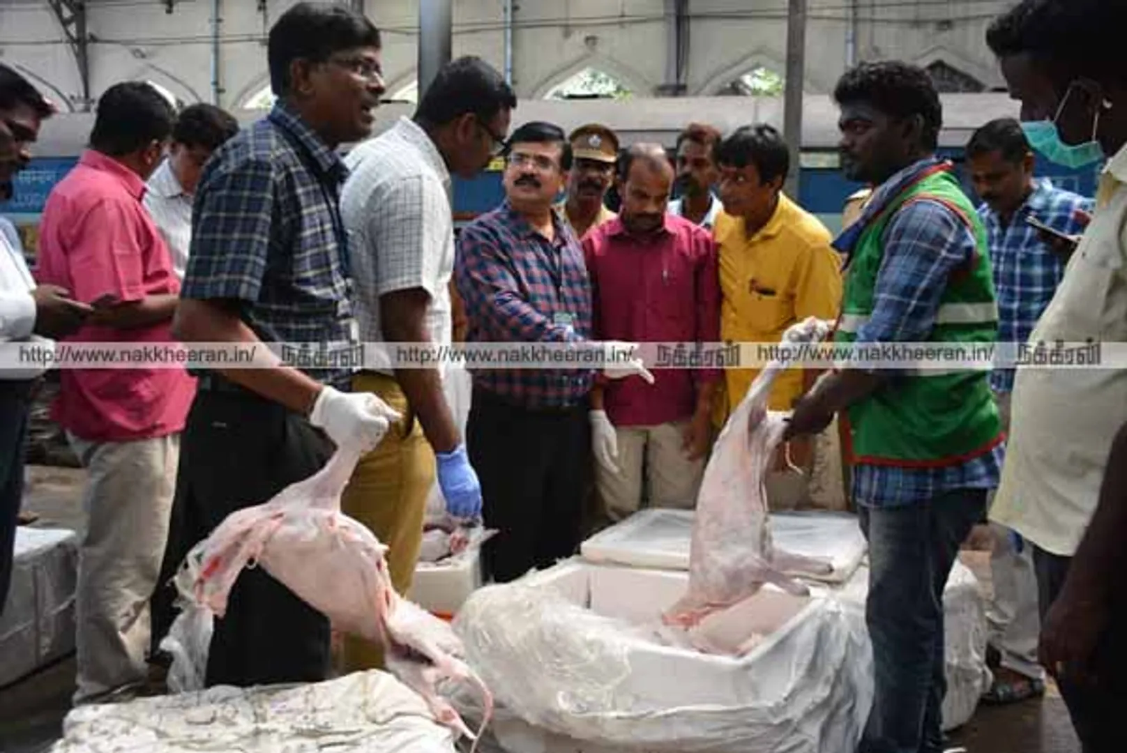 சென்னை எழும்பூர் ரயில் நிலையத்தில் 1000 கிலோவுக்கு மேல் நாய் இறைச்சி பறிமுதல்