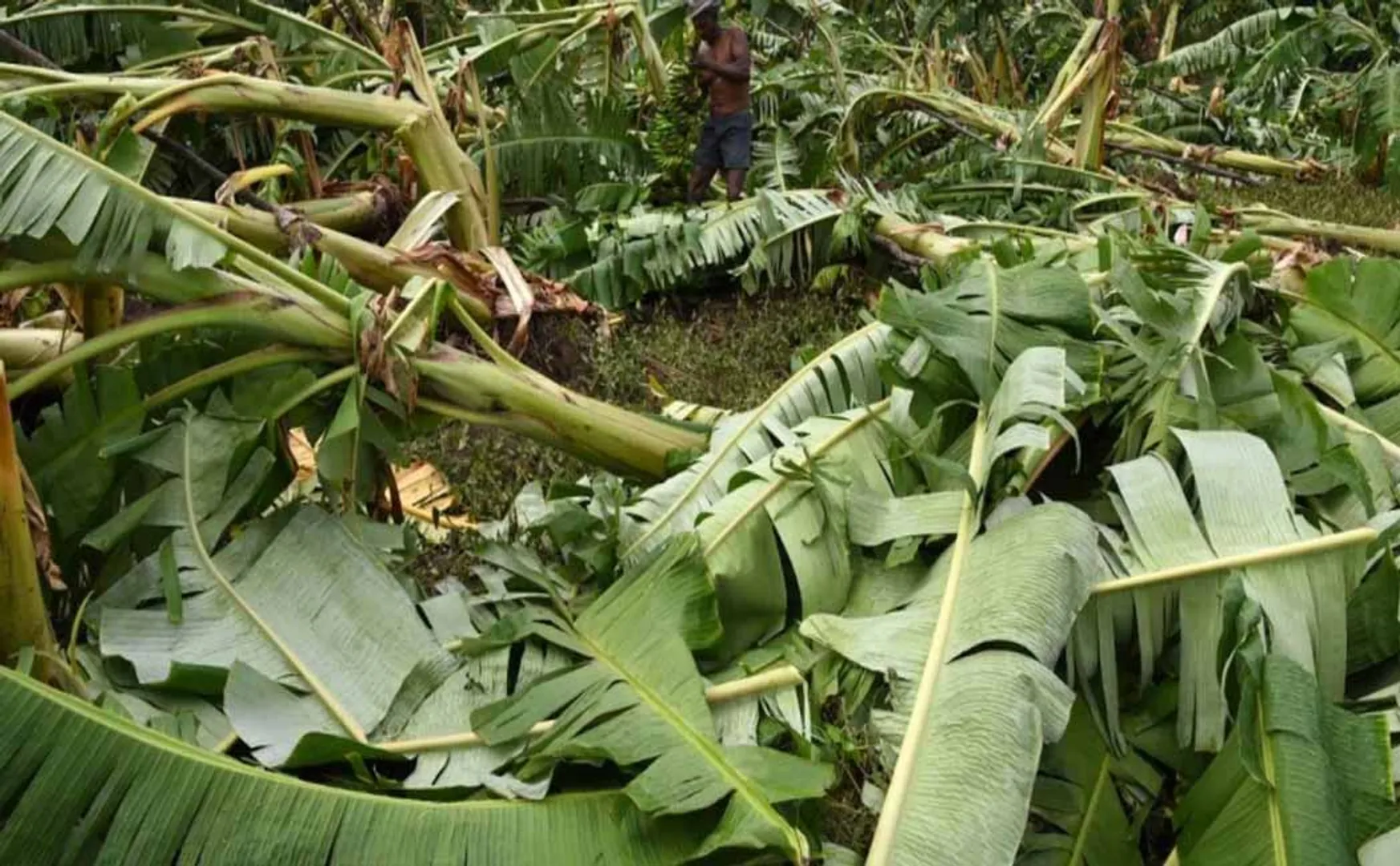 Hurricane damage 353.70 crore interim relief Central Government Announcement