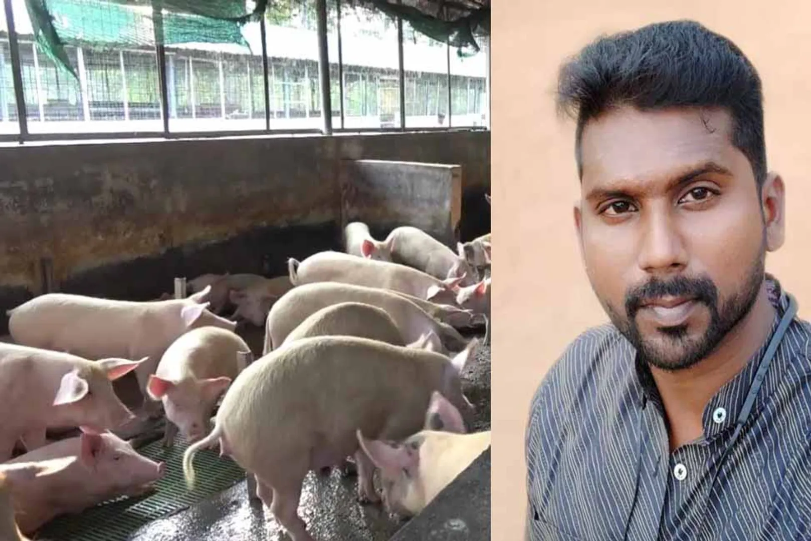   A engineering student who works in the pigs Growth