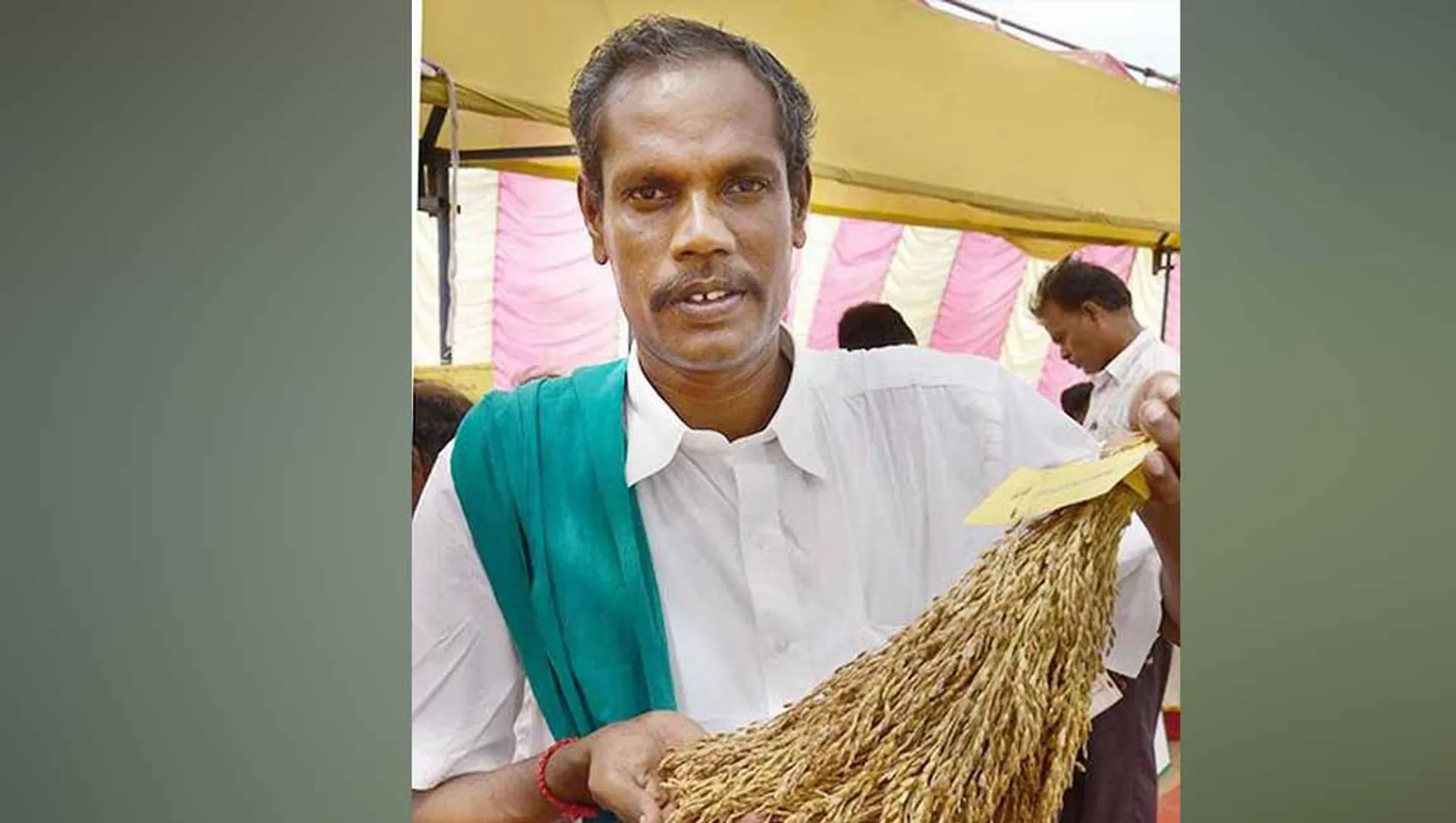 nel jayaraman