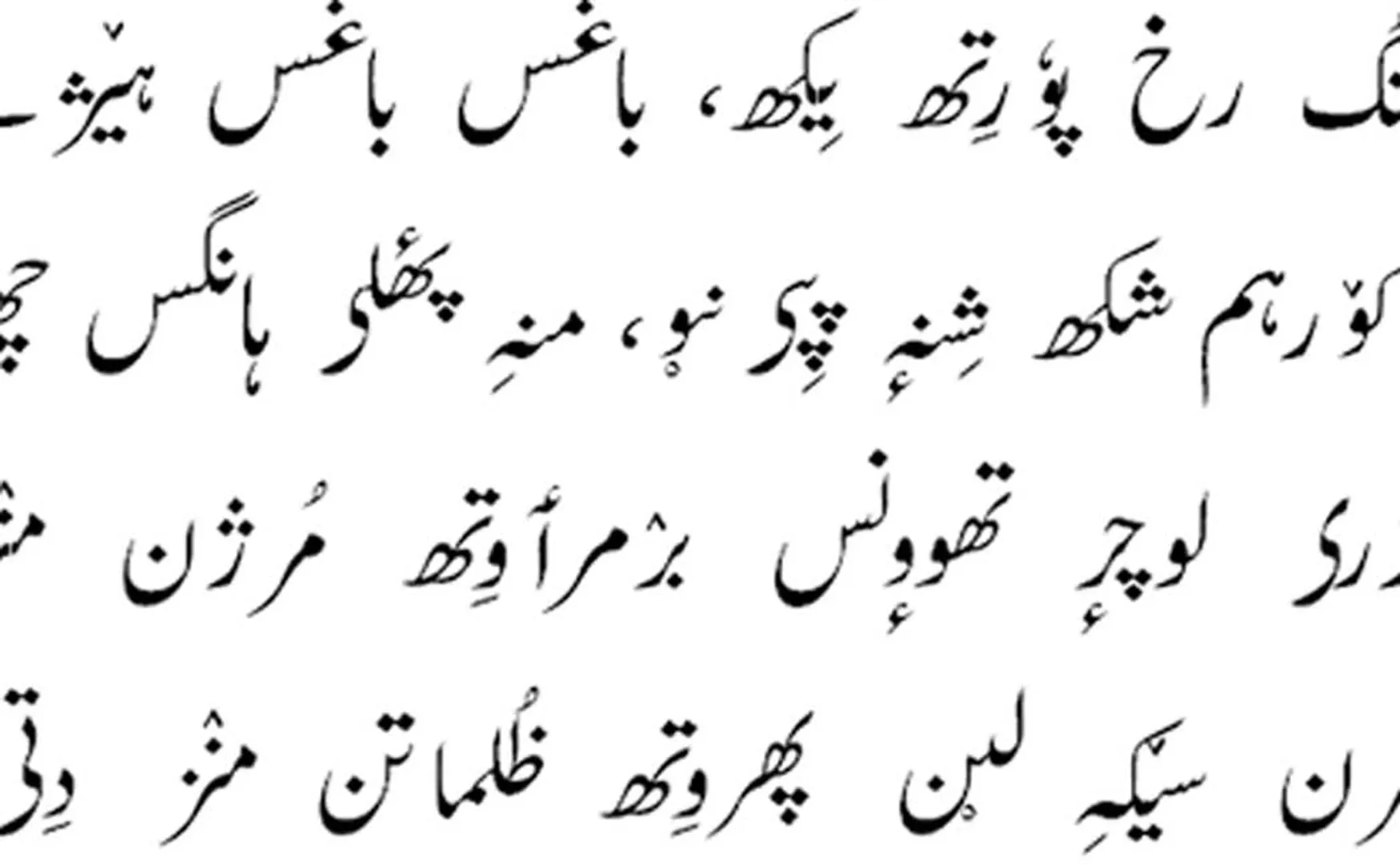 kashmiri