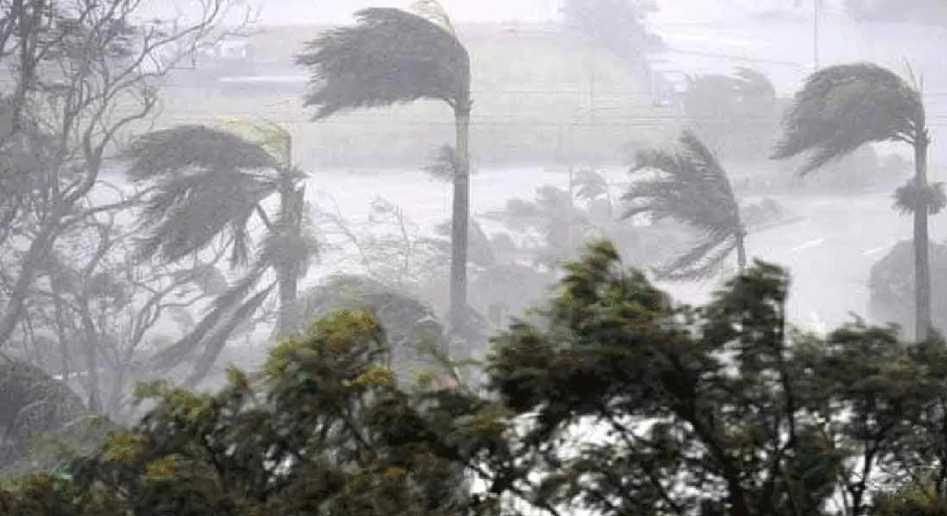storm 