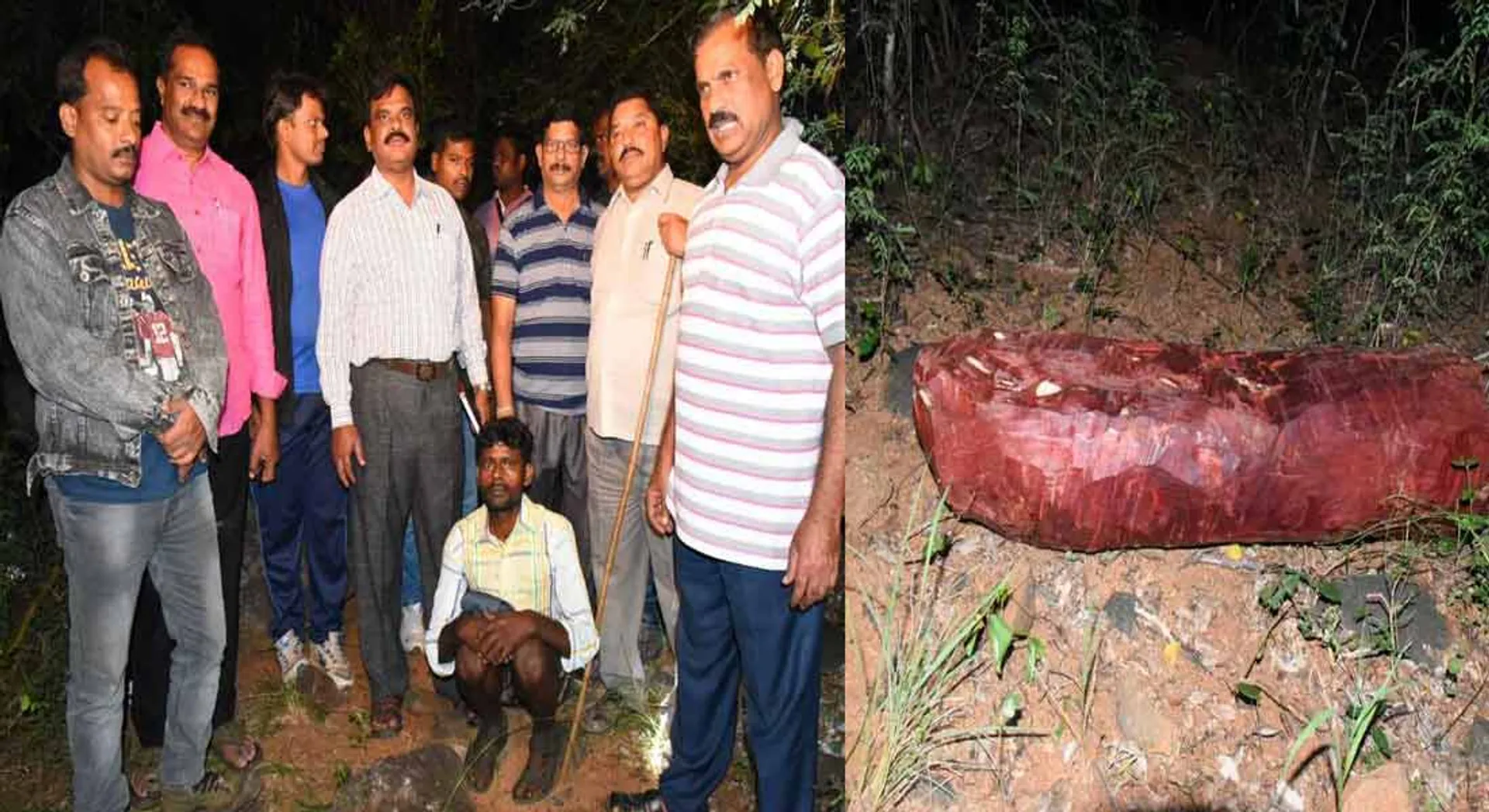 What are the stage of wood cutters? -Andhra Police