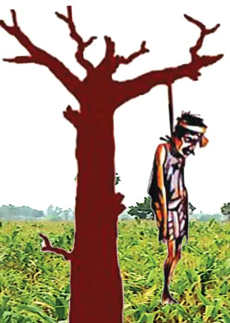 Suicide farmers