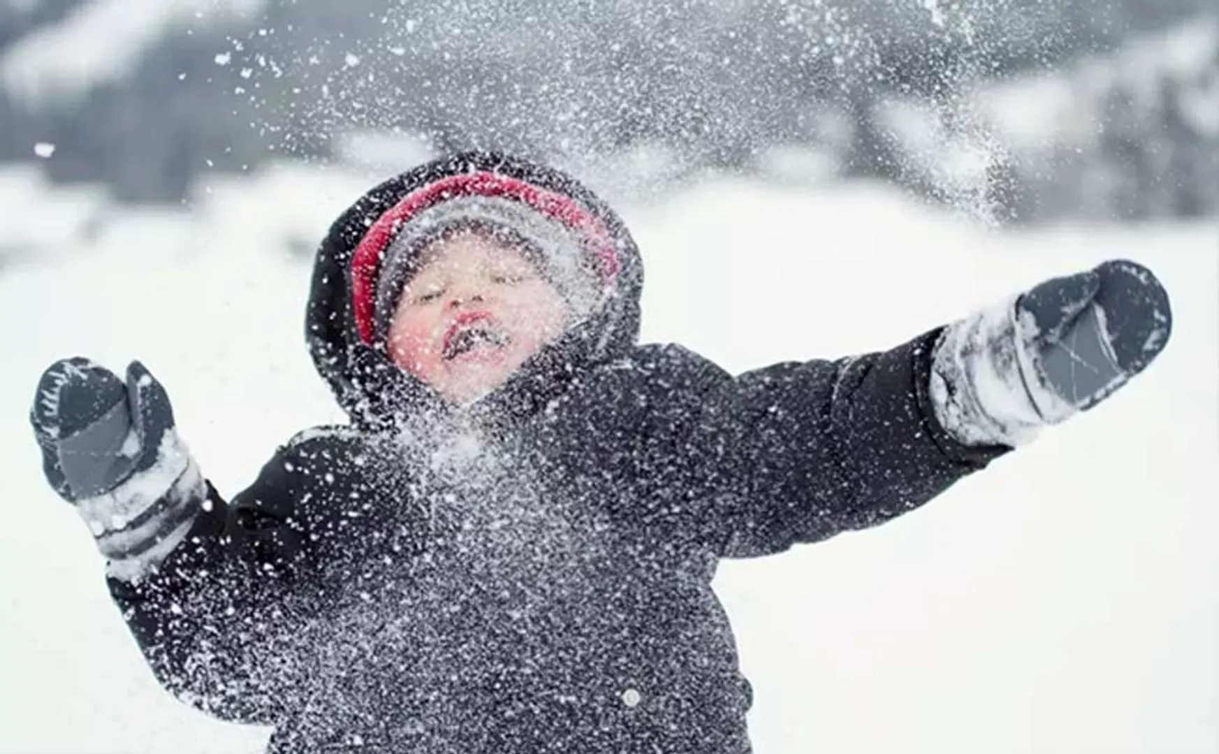 snowball