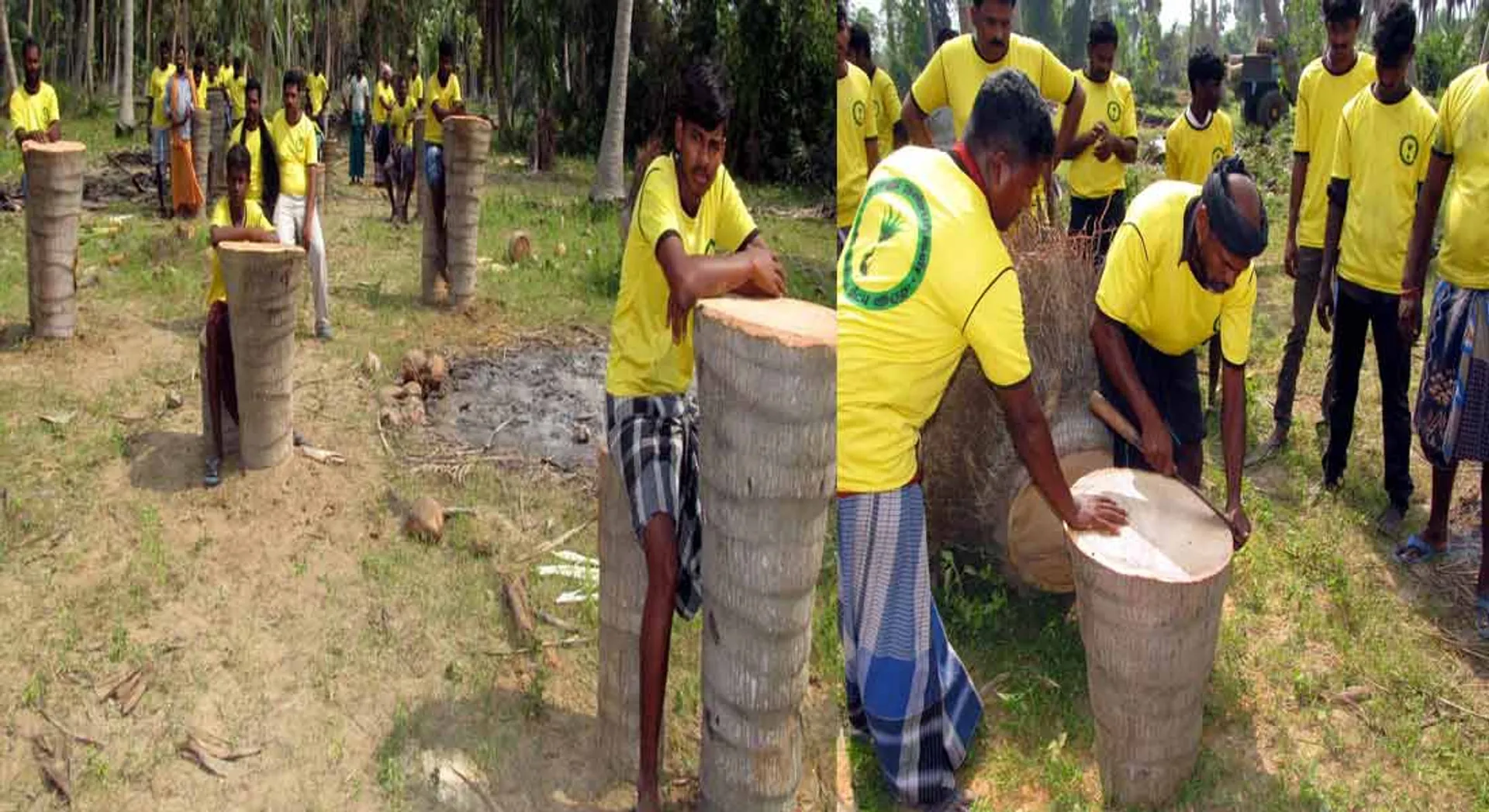  Young people who designate as coconut trees to seats!!