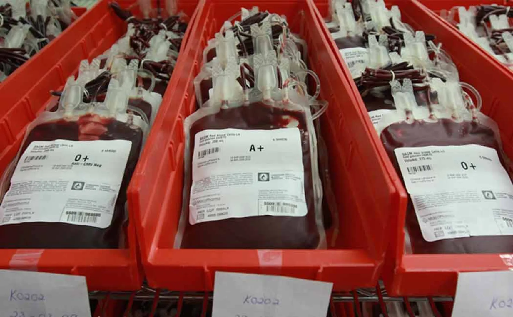 blood bank