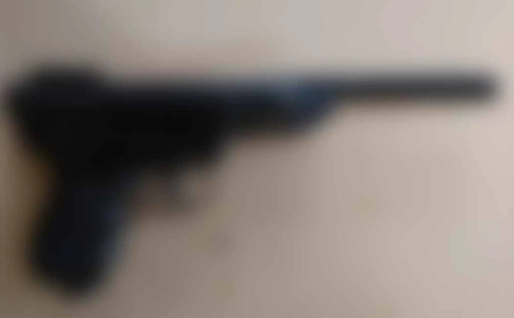 kerala gun