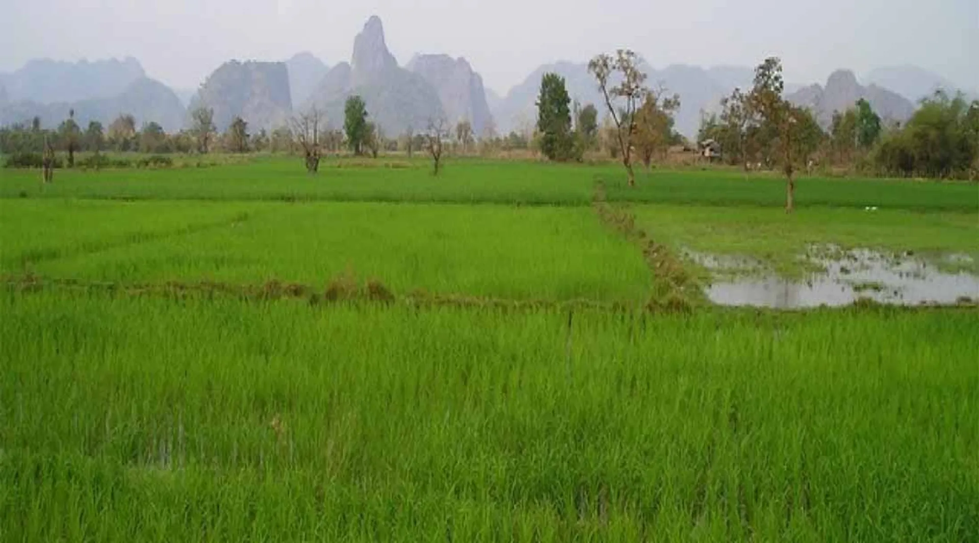 Agriculture