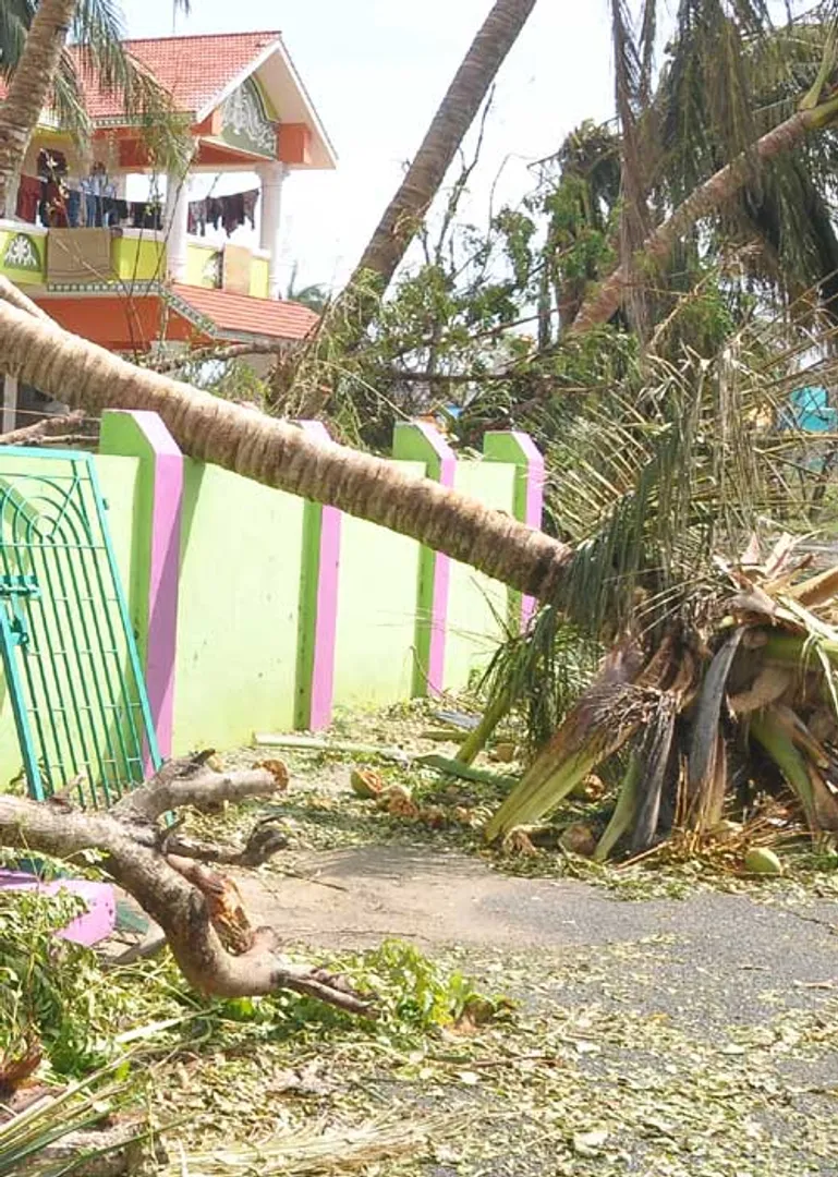 /idhalgal/eniya-utayam/indifferent-storm-destroy-tamil-nadu