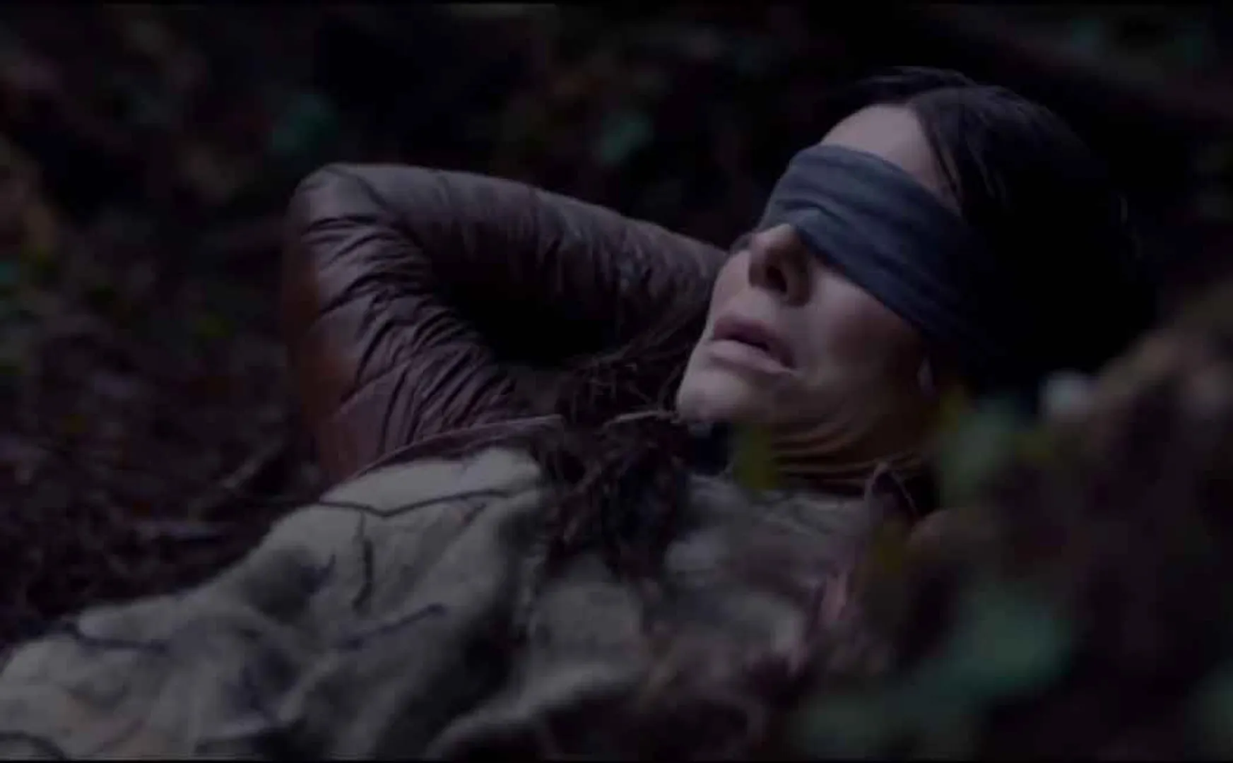bird box