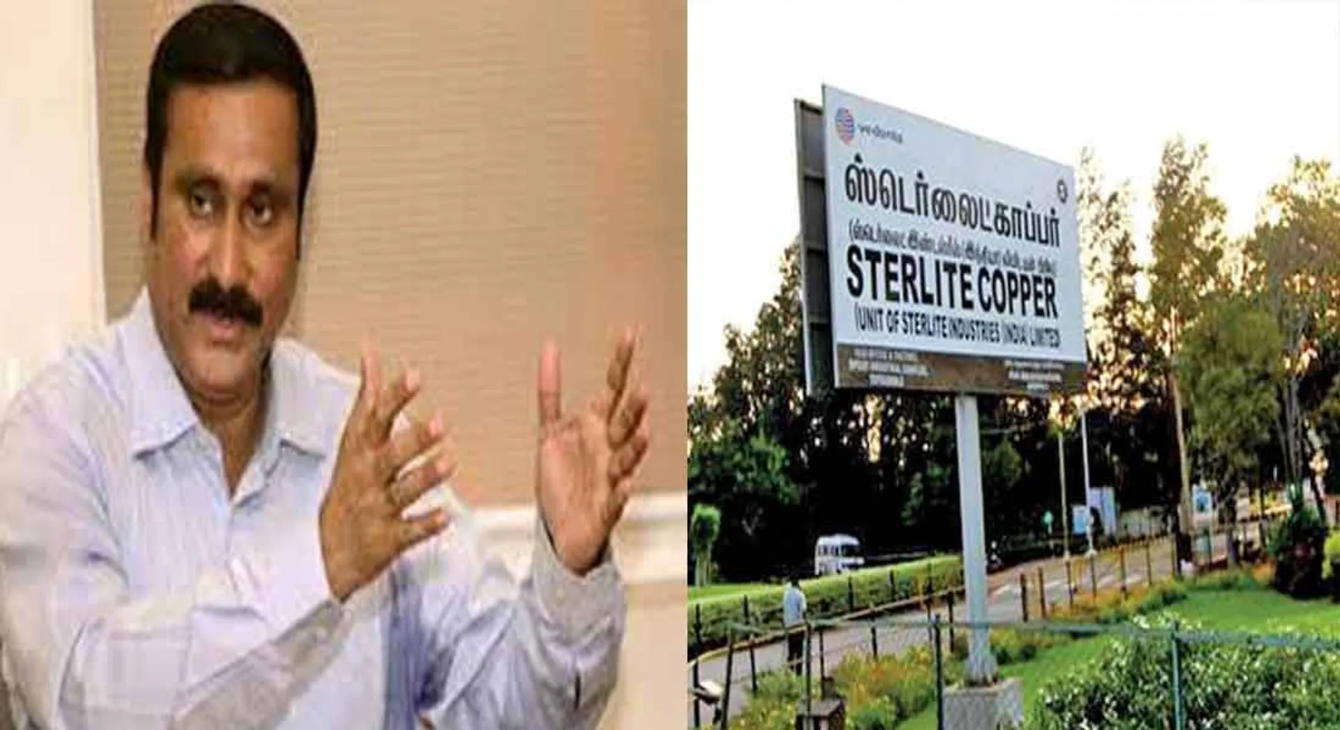 anpumani ramadoss 
