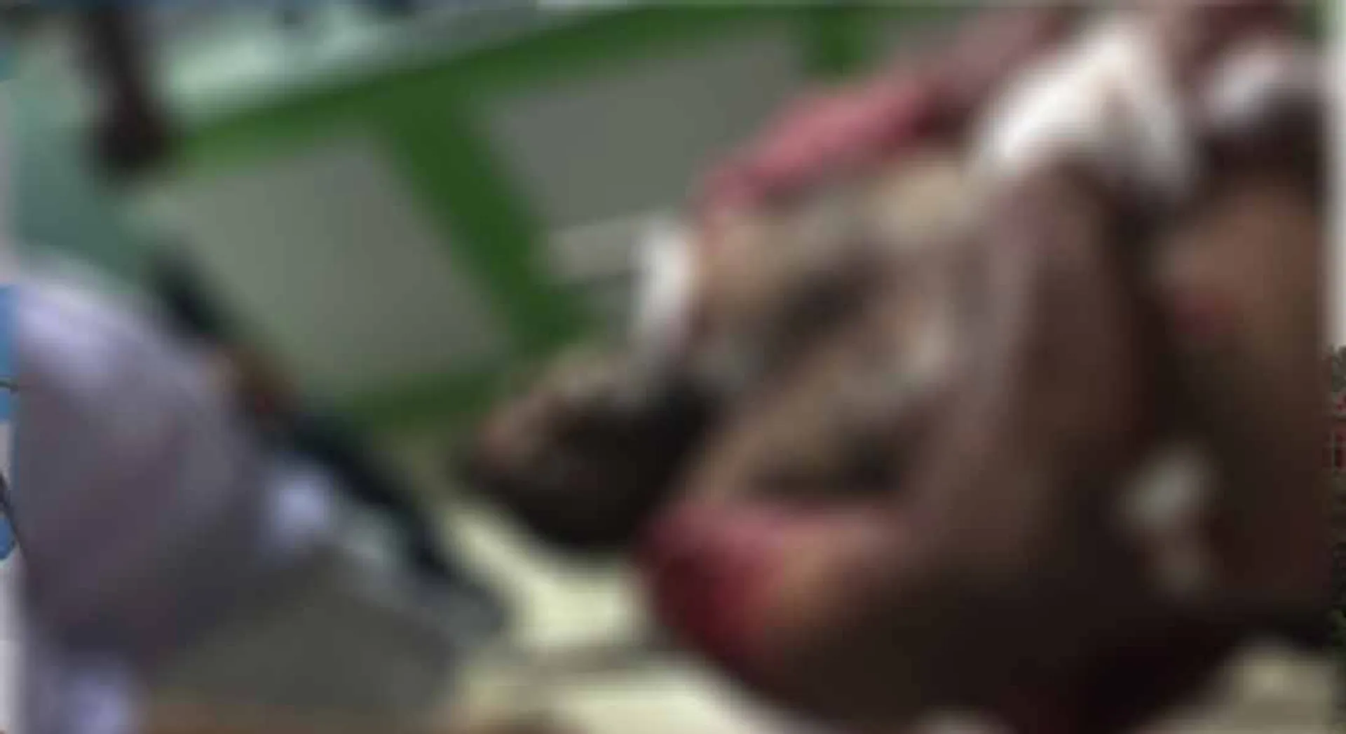 Sheep trader murdered