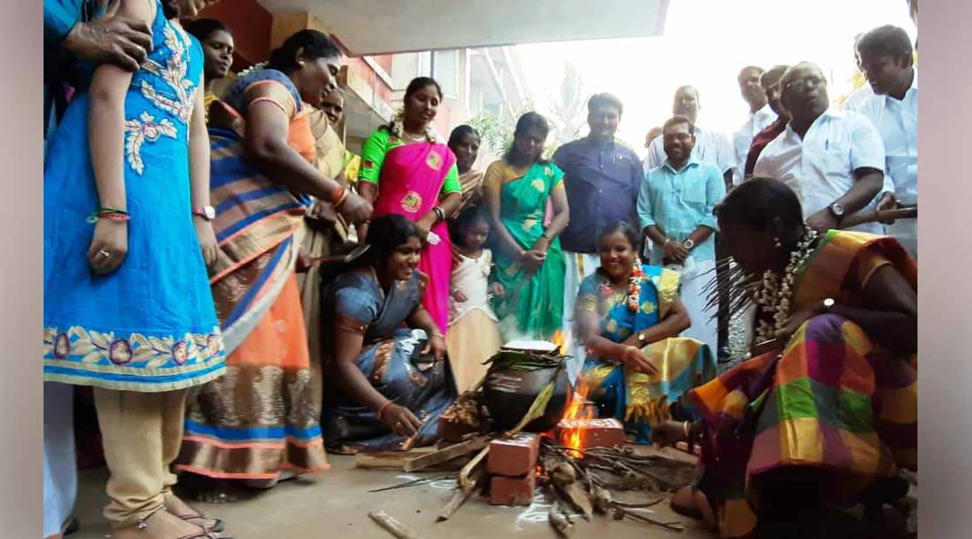 Pongal Festival 