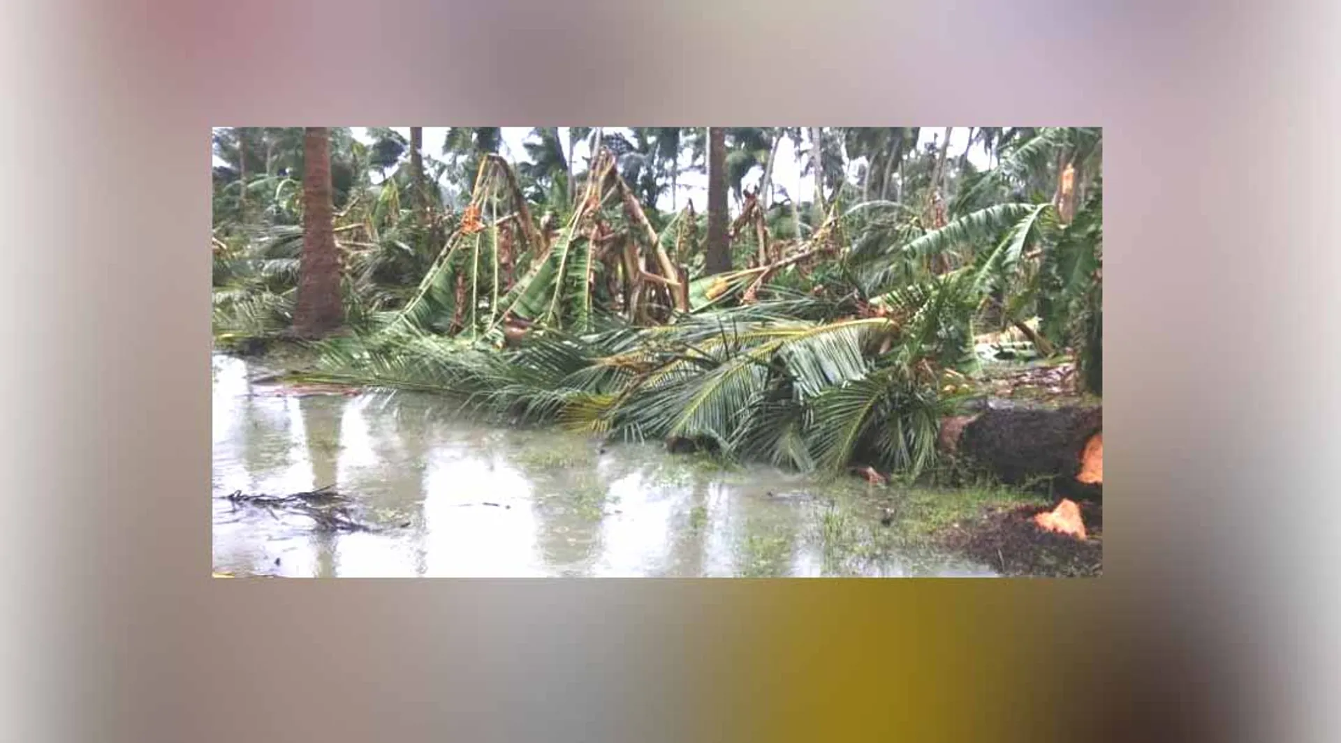 gaja storm