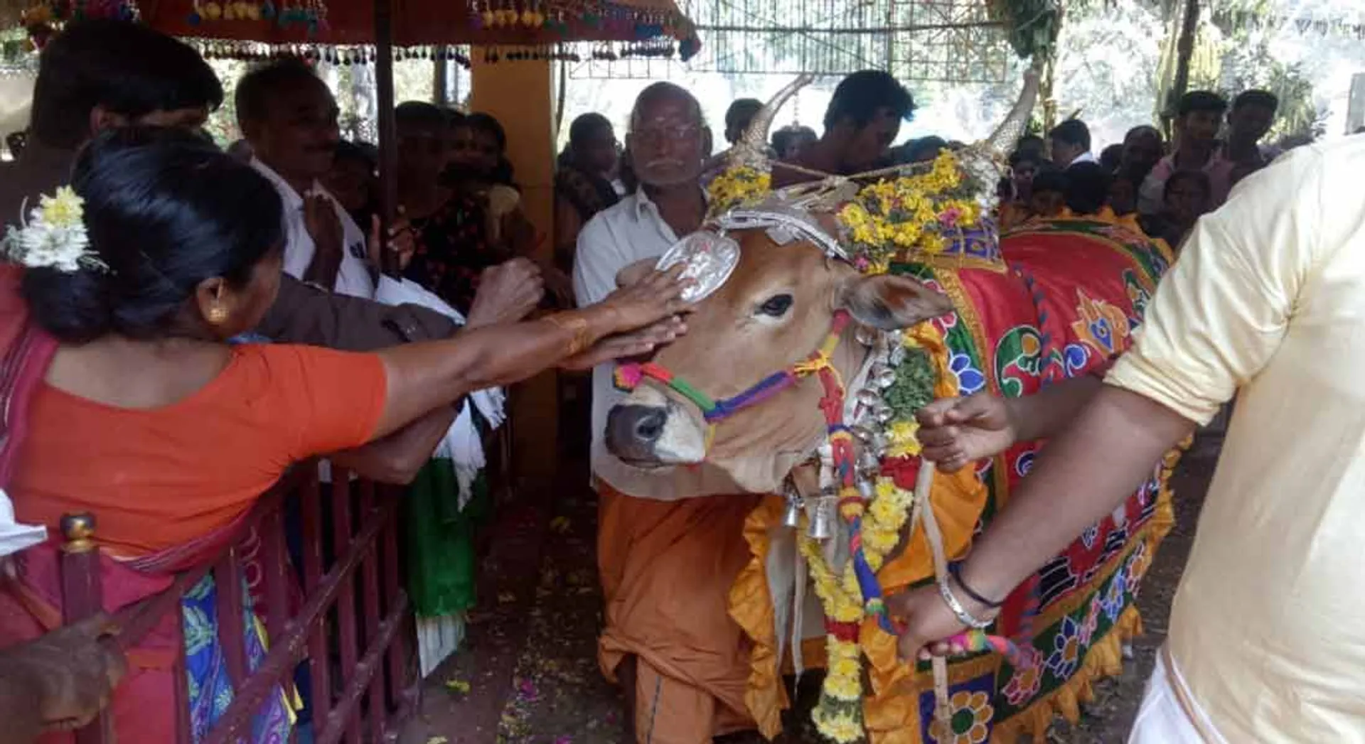 pongal 