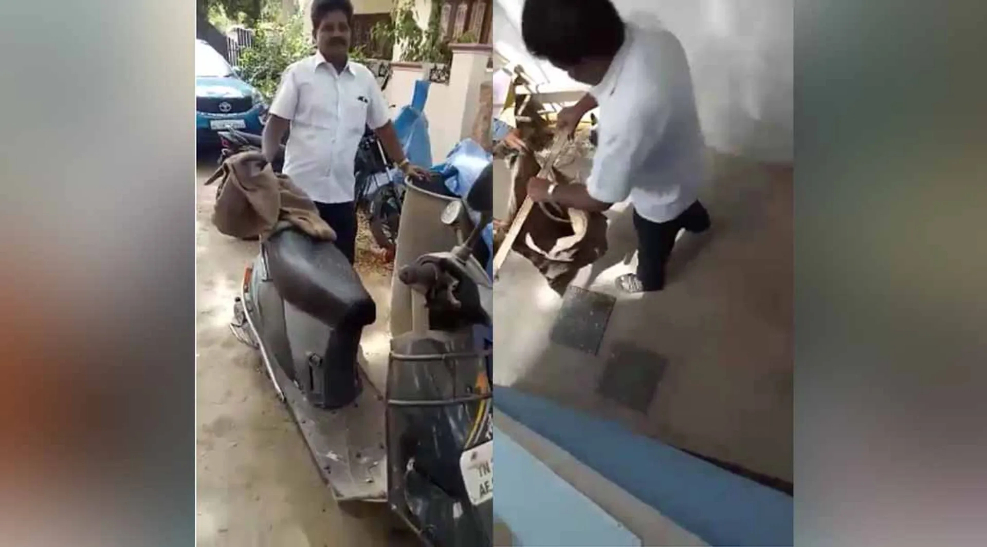 Snake