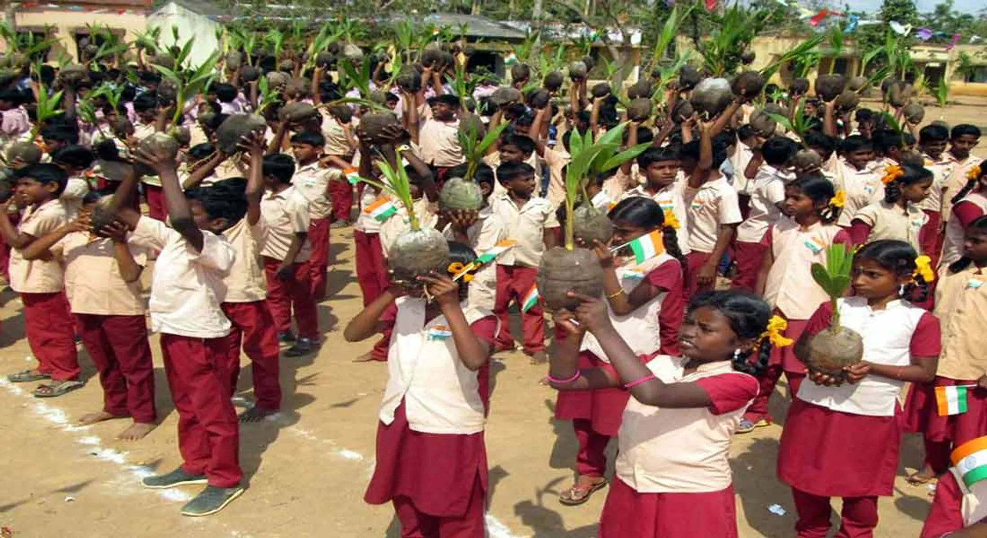  Former teachers who gave coconuts  trees to school students!