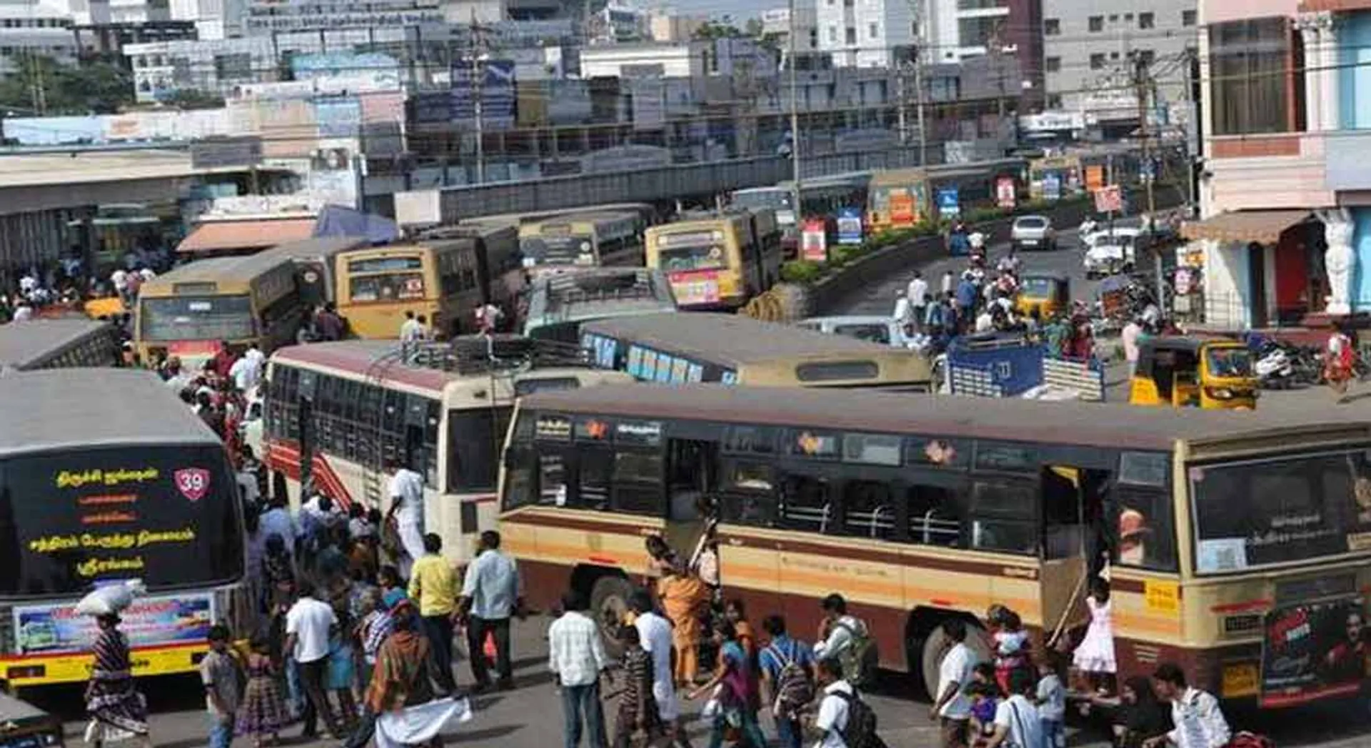 bus