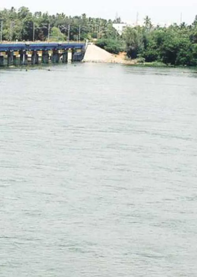 /idhalgal/general-knowledge/megathattu-dam-issue
