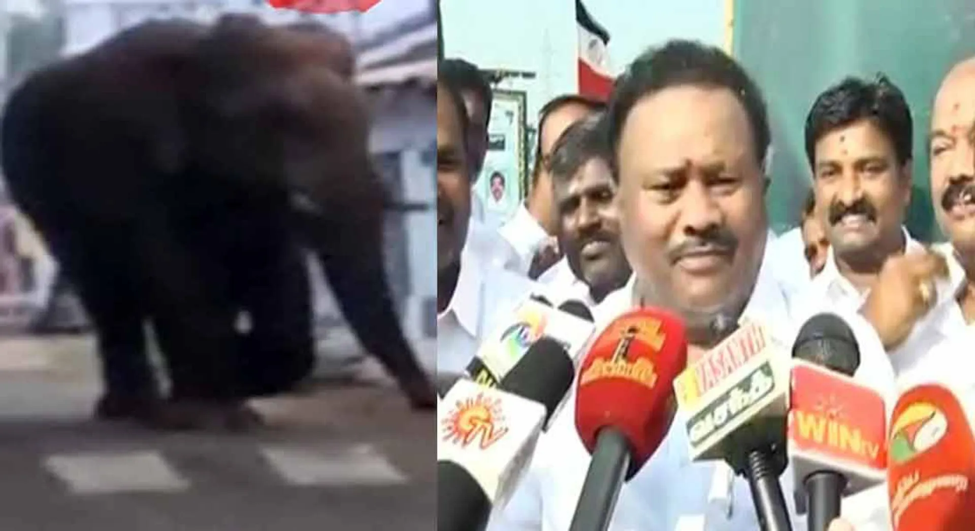  Action to change the Chinnathampi elephant into the Kumini elephant - Dindukal Srinivasan information