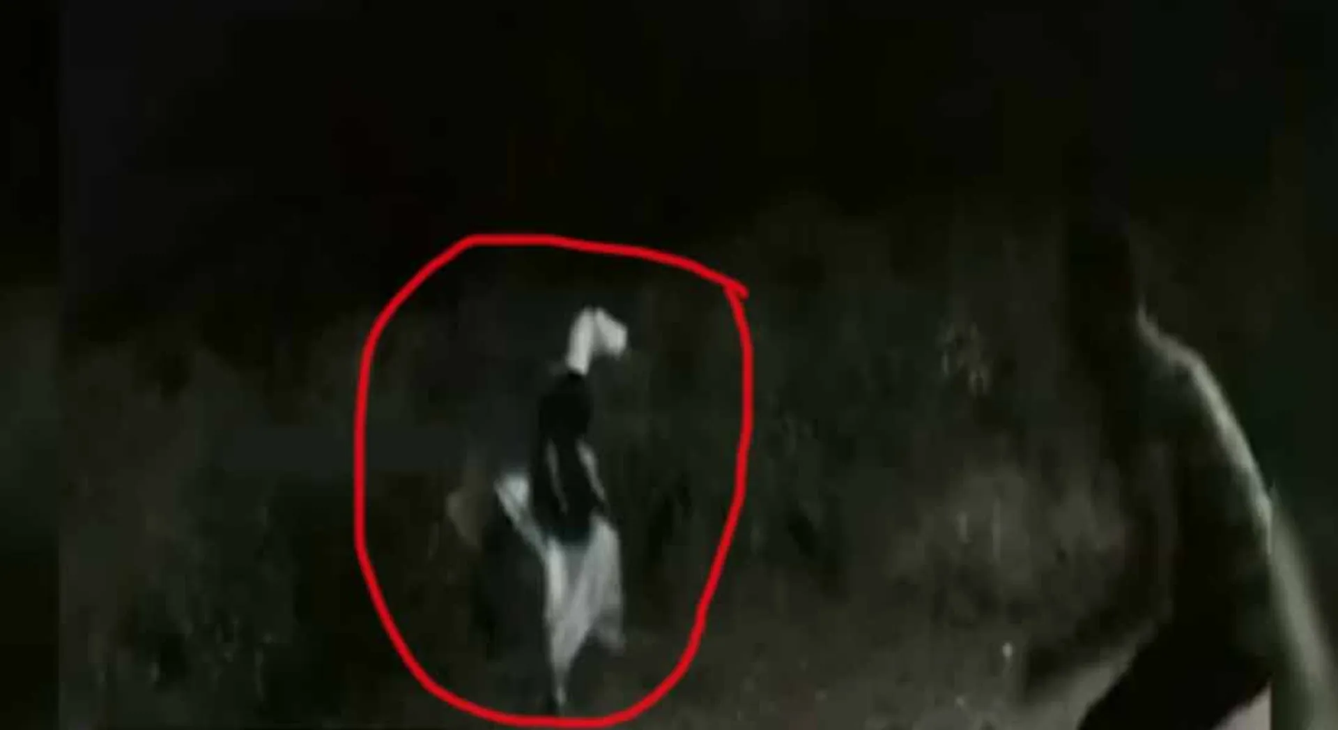 Flying plate... a strange image...alien in srilangaka?