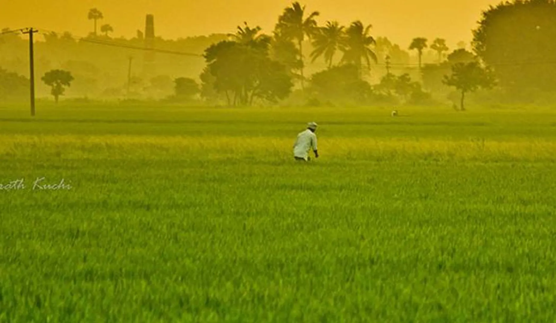 Agriculture