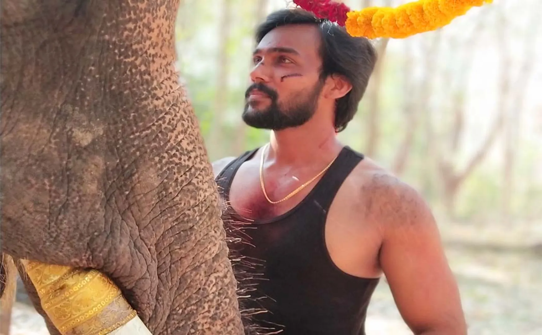 Arav