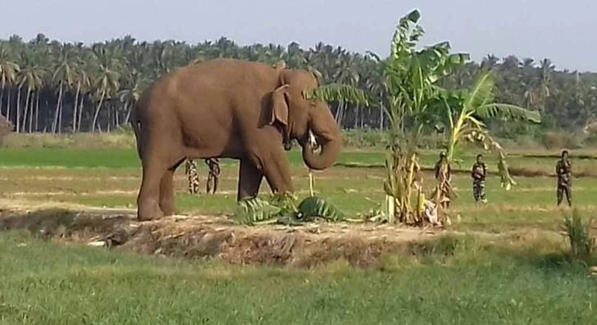 chinnathampi 