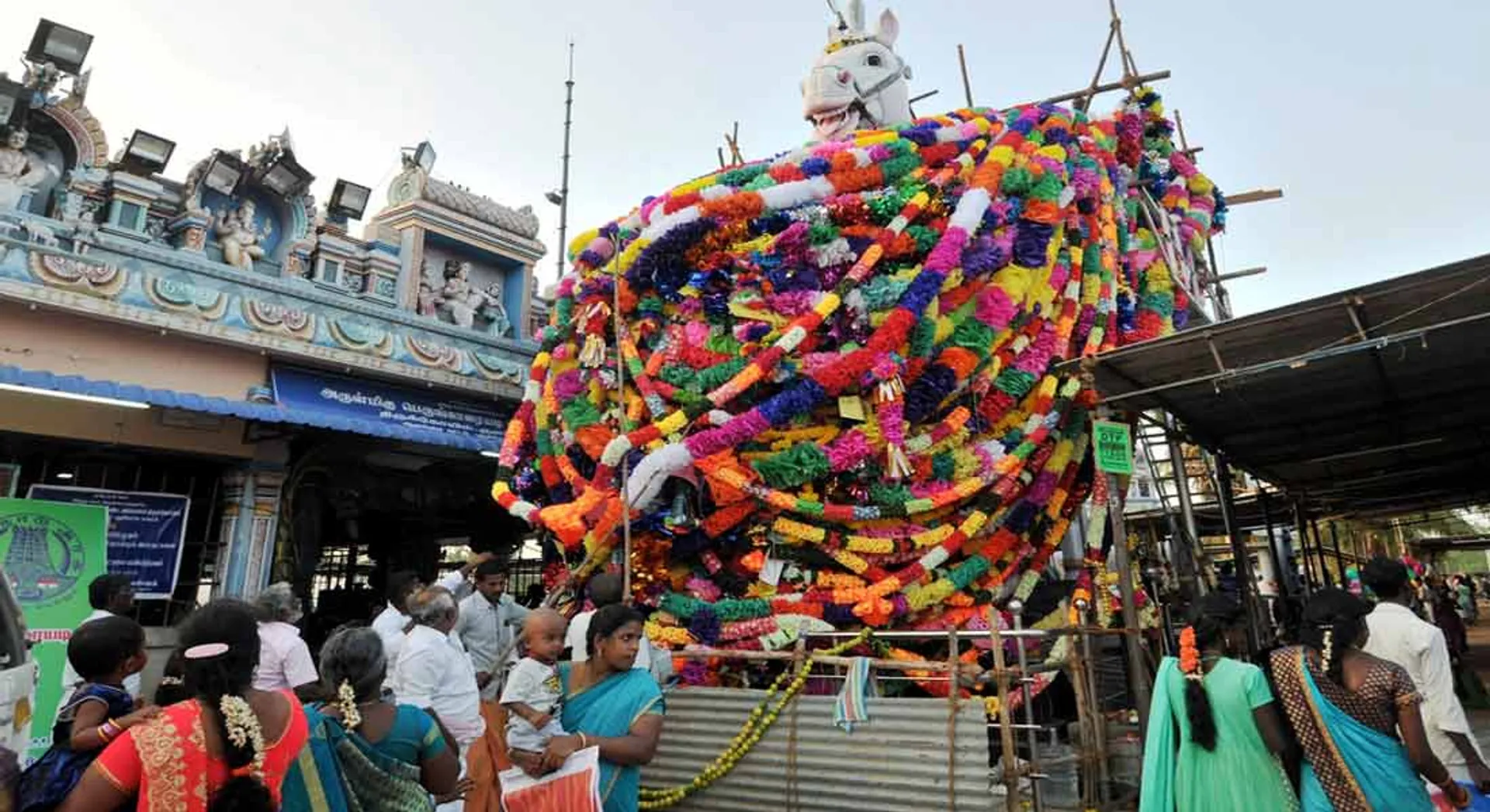  Thousands of pieces of paper flower garlands to the statue of the high horse in Asia