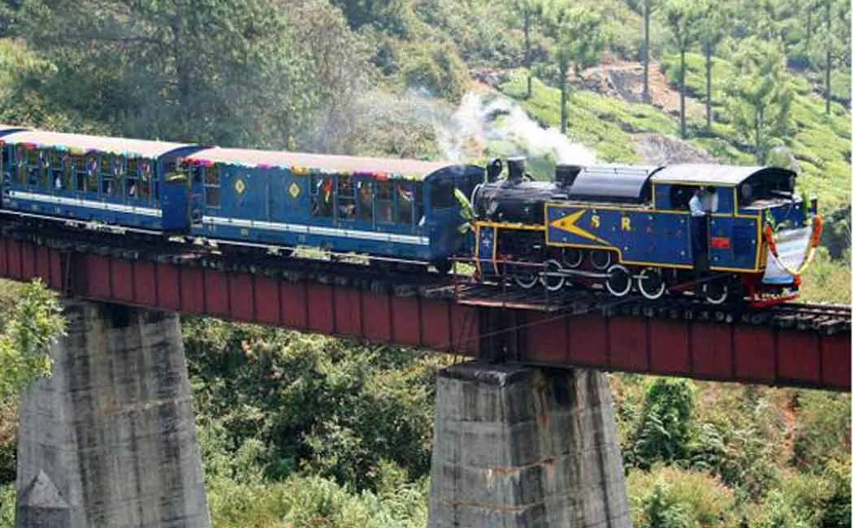 nilgiri