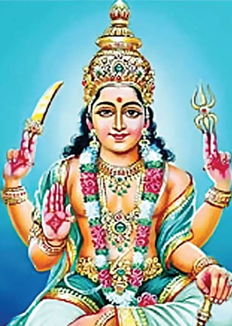 /idhalgal/balajothidam/wiser-dada-wednesday
