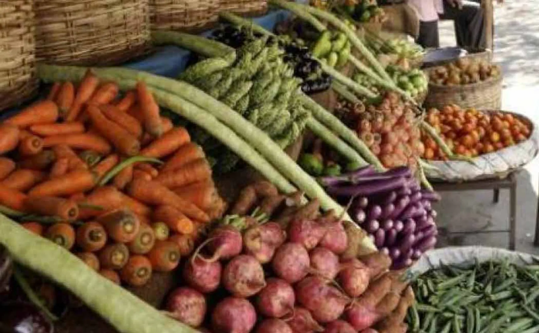 vegetable 