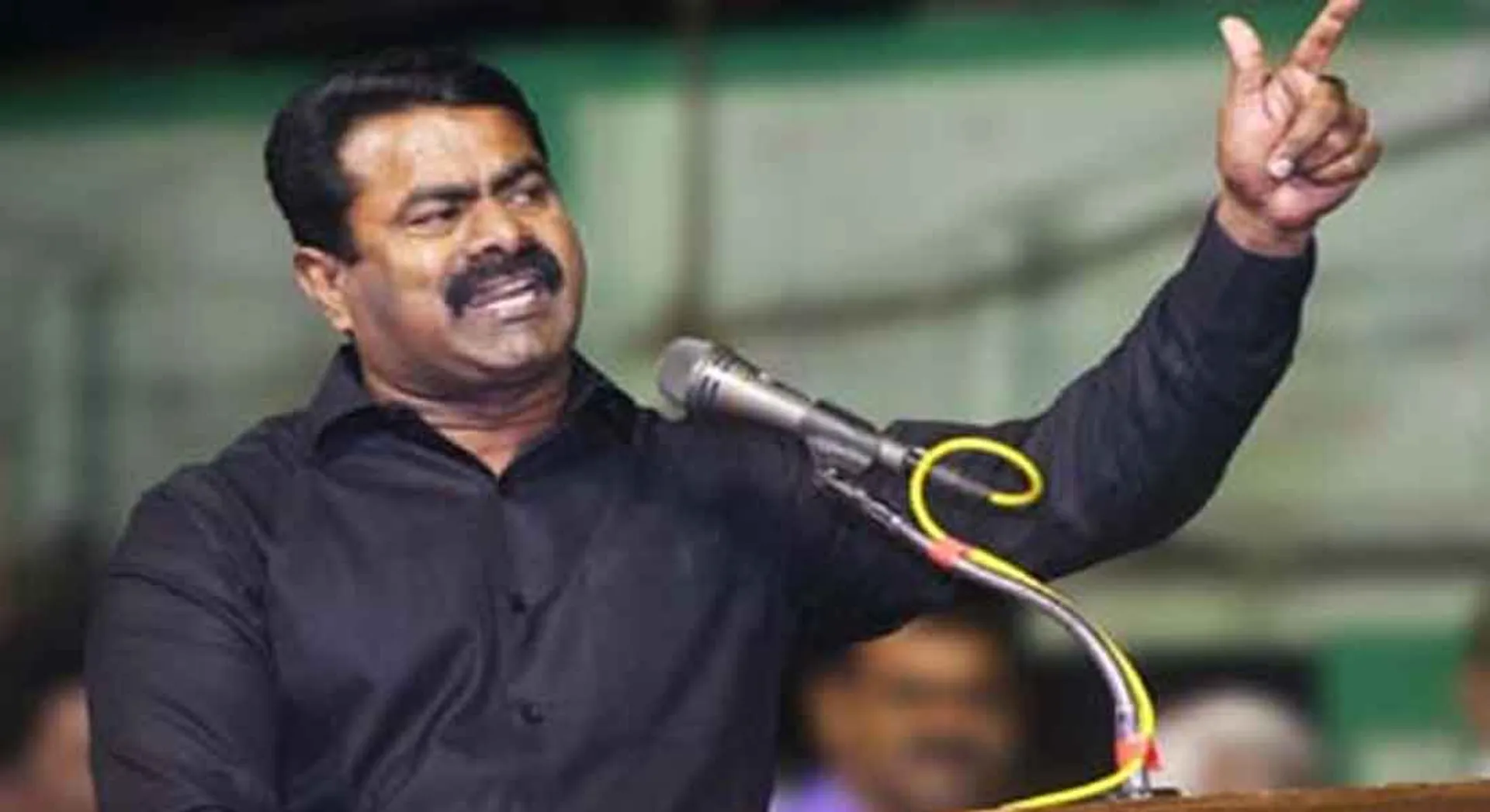 seeman interview 