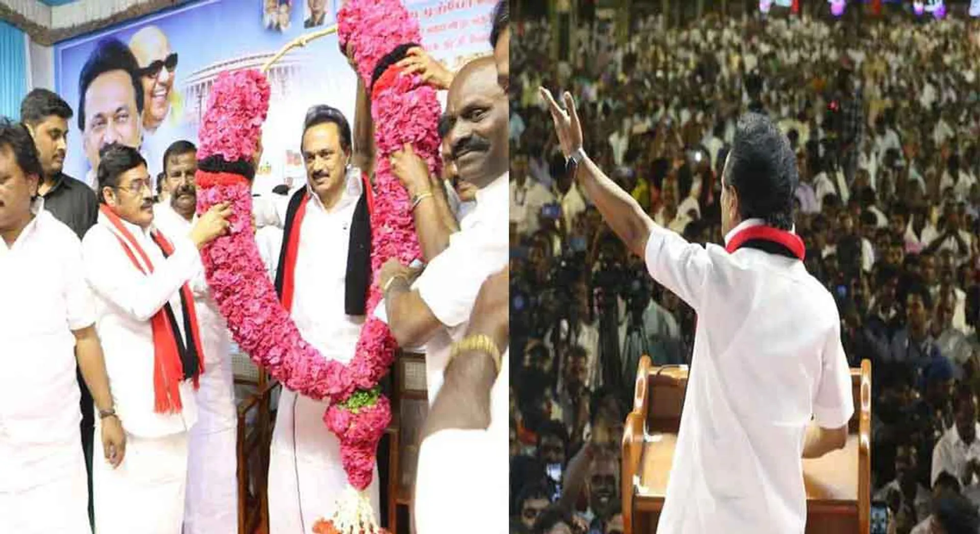 dmk 