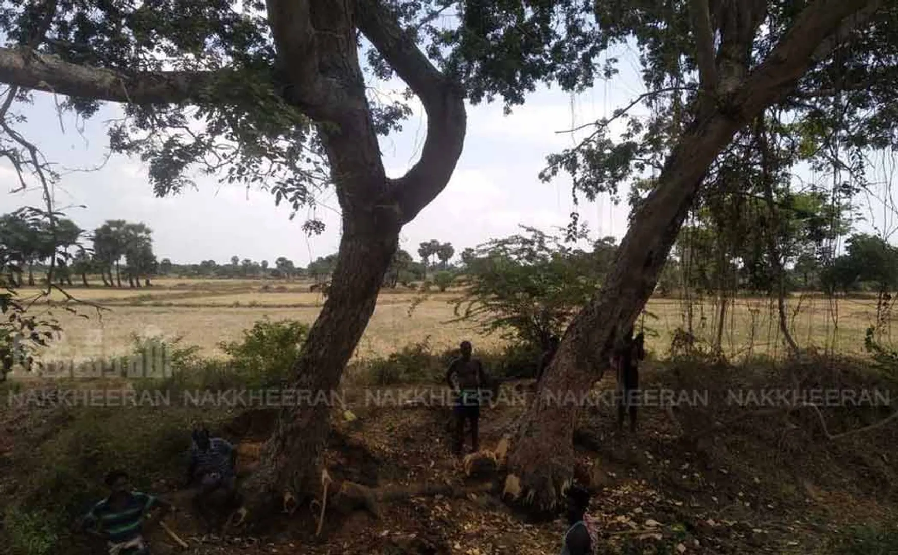 pudukottai 