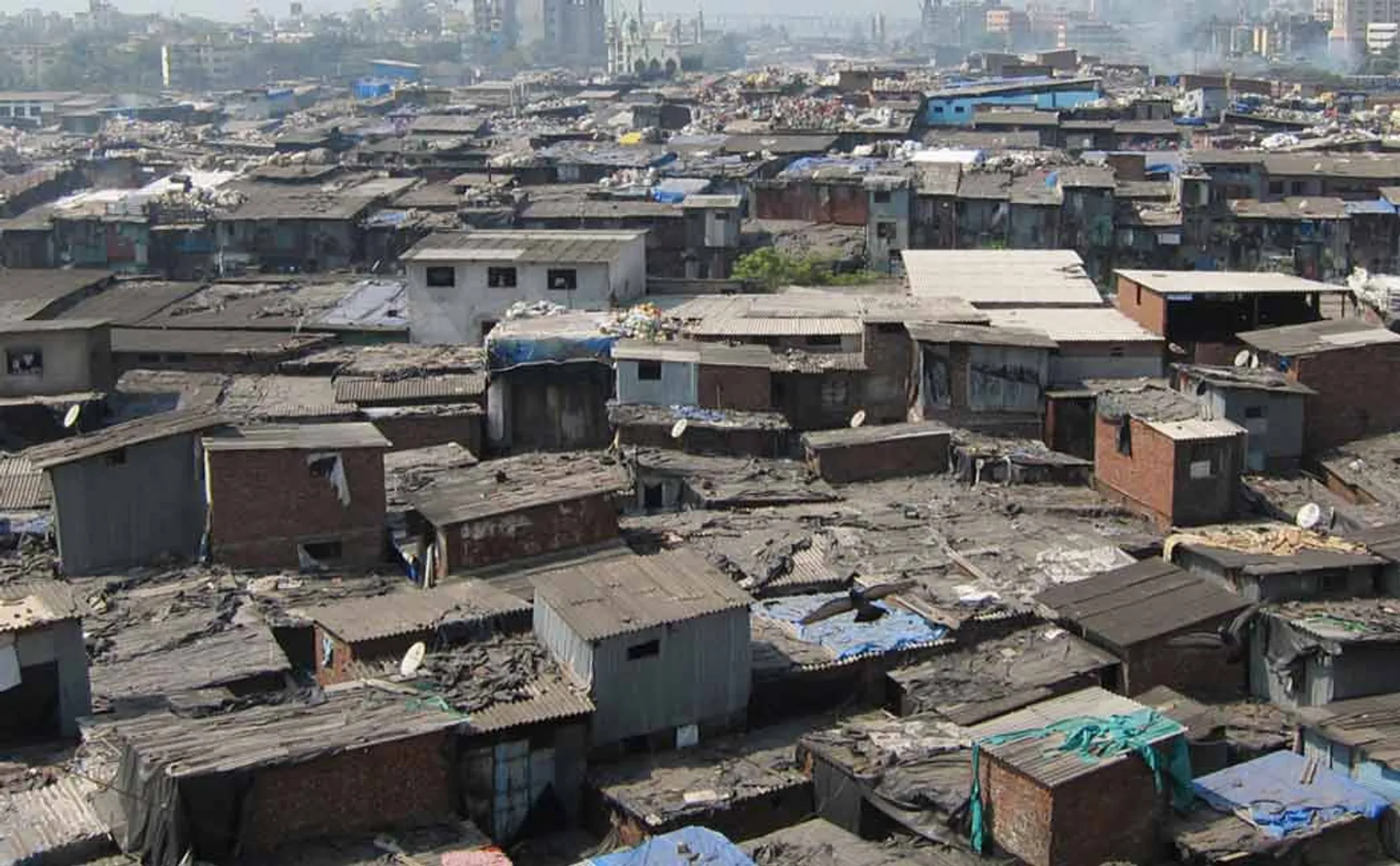 Poverty alleviation... 