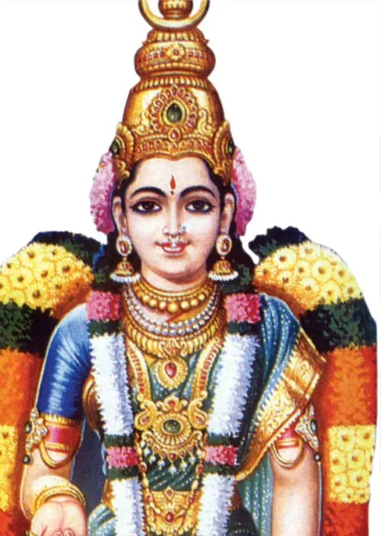 /idhalgal/balajothidam/12-lakanam-palans-0