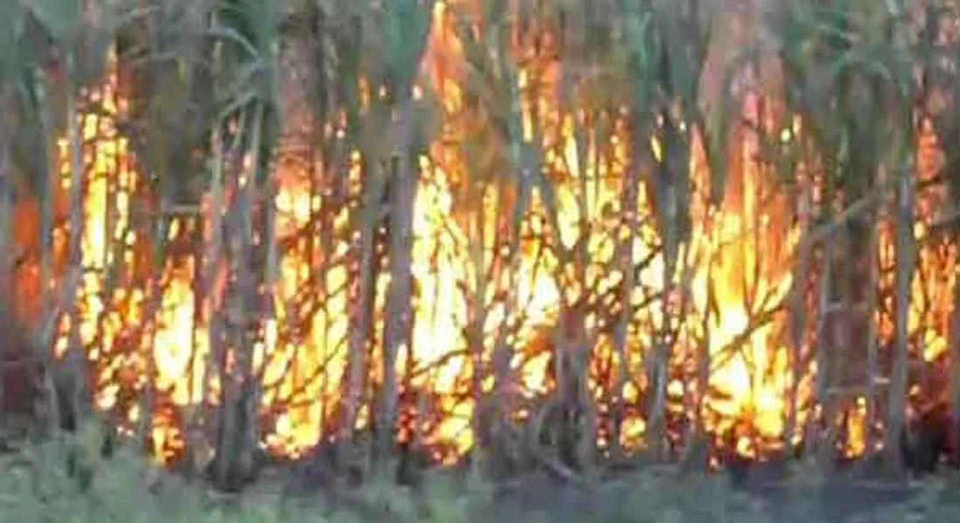 fire accident 