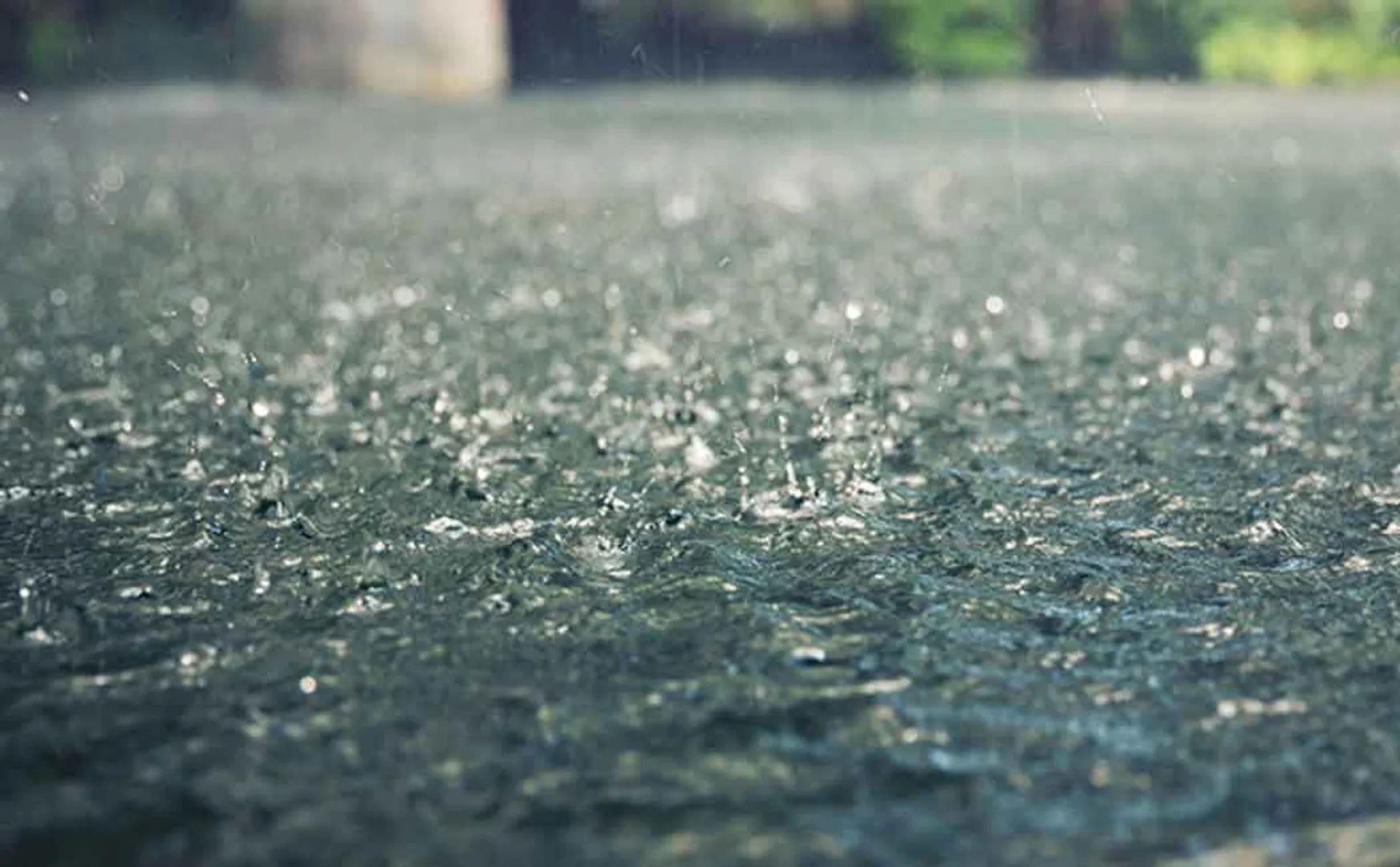rain
