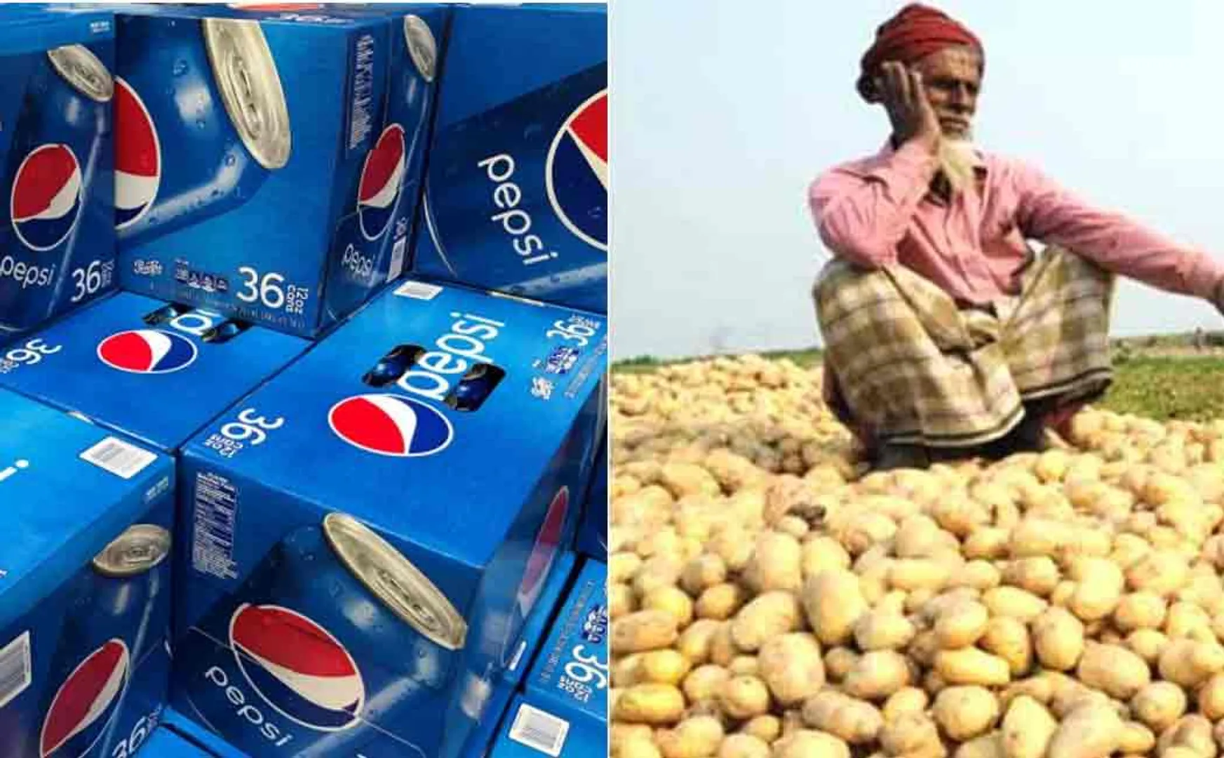 pepsi filed case against farmers for cultivating potato