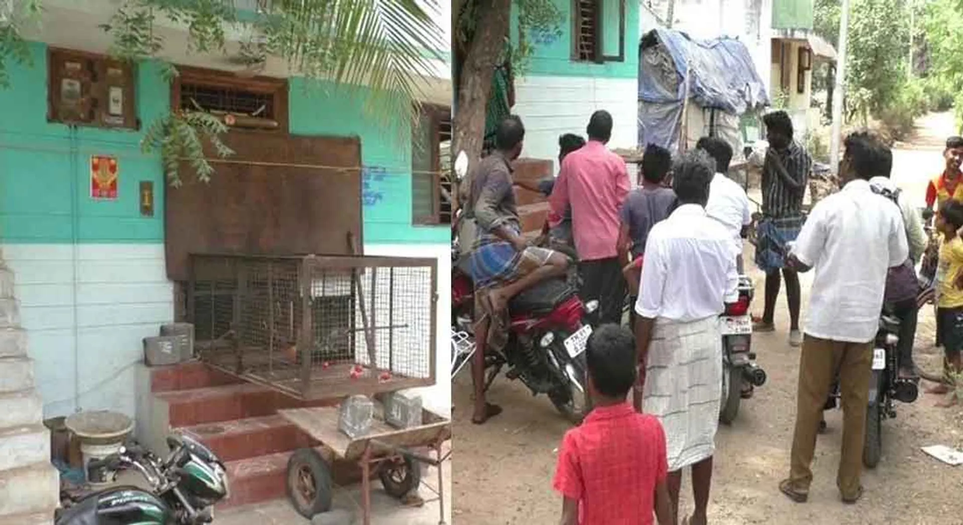 monkey Bite More than 40 people in chithamparam 
