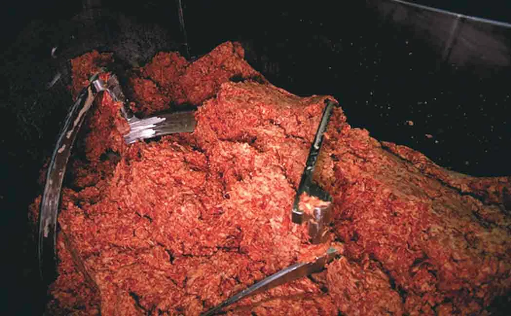 girl accidentally fell into a giant meat grinder