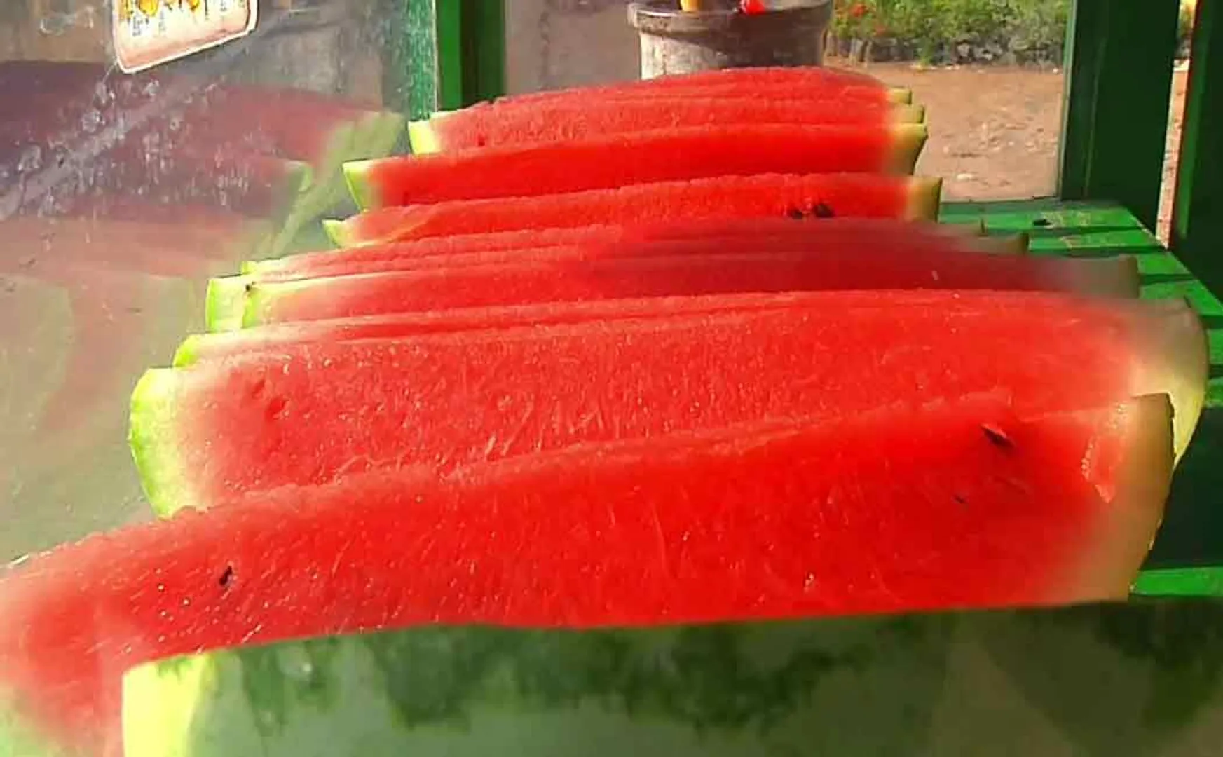watermelon 