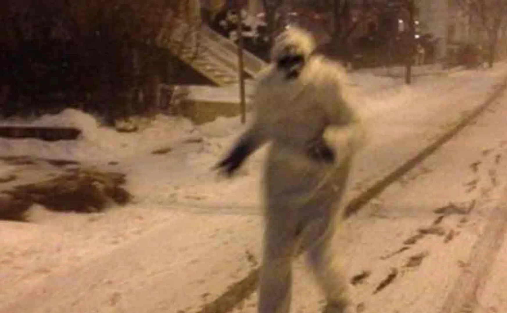 indian army found snowman named yeti in india nepal border