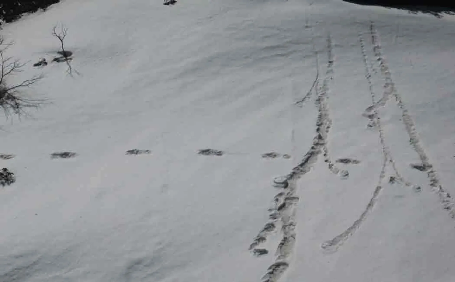 nepal clarifies about the footprint found by indian army