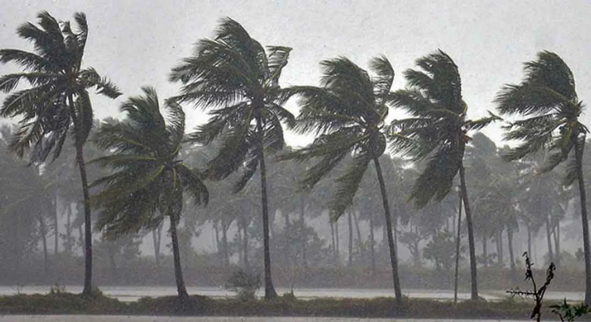storm 