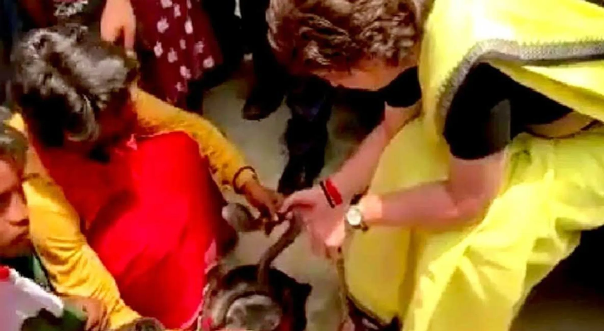 priyanka gandhi
